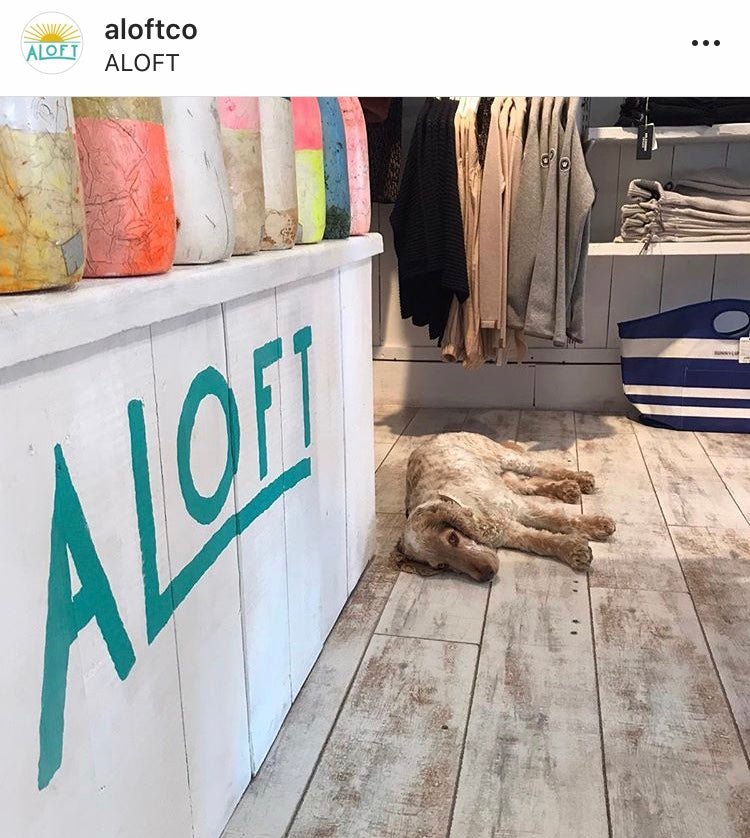Aloft in Padstow is an independent clothing store, and your dogs are always welcome