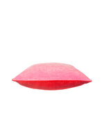 Pink and Red Velvet Cushion