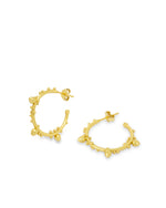 Allegra Gold Hoop earrings
