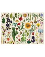 Botanicum 1000 piece jigsaw