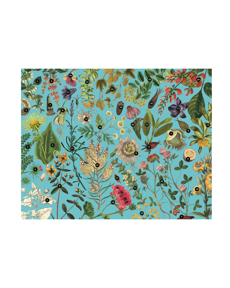 Healing Plants 1000 piece jigsaw