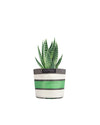 British Colour Standard Recycled Plant Holder - Grass Green