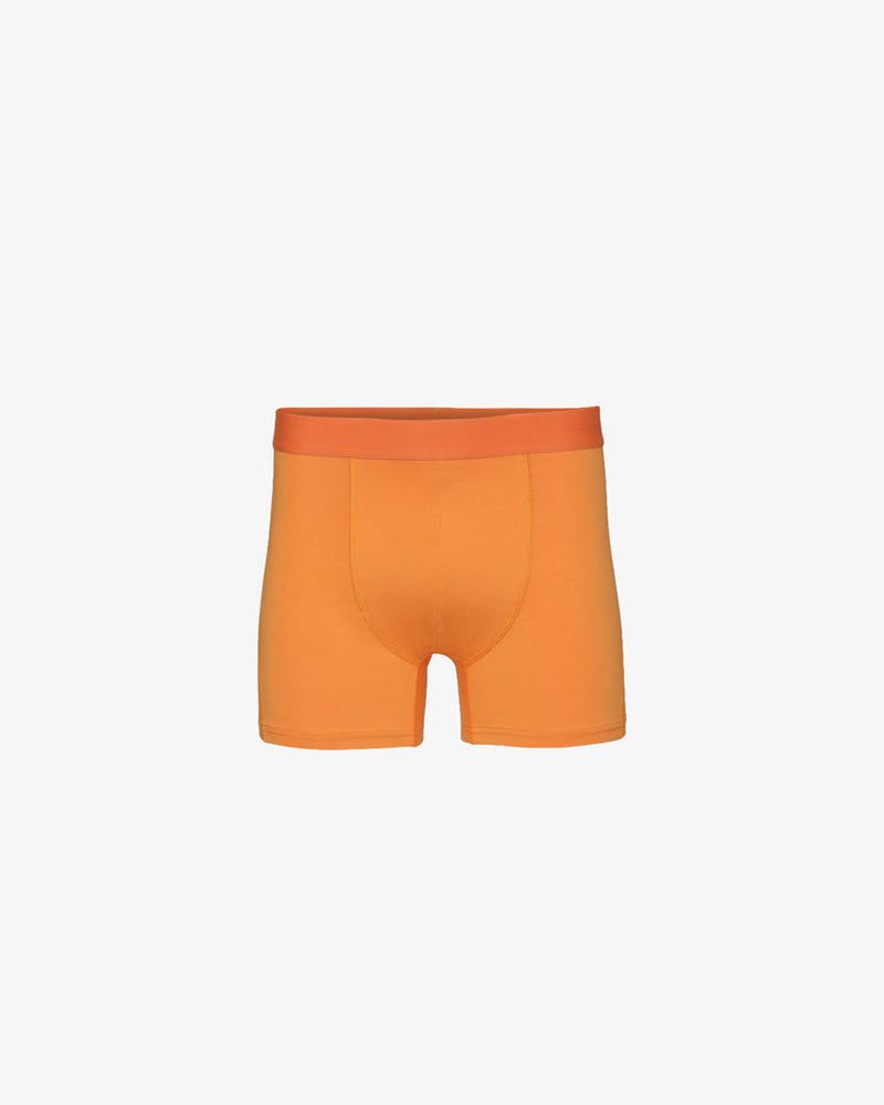 Colourful Standard Boxer Shorts